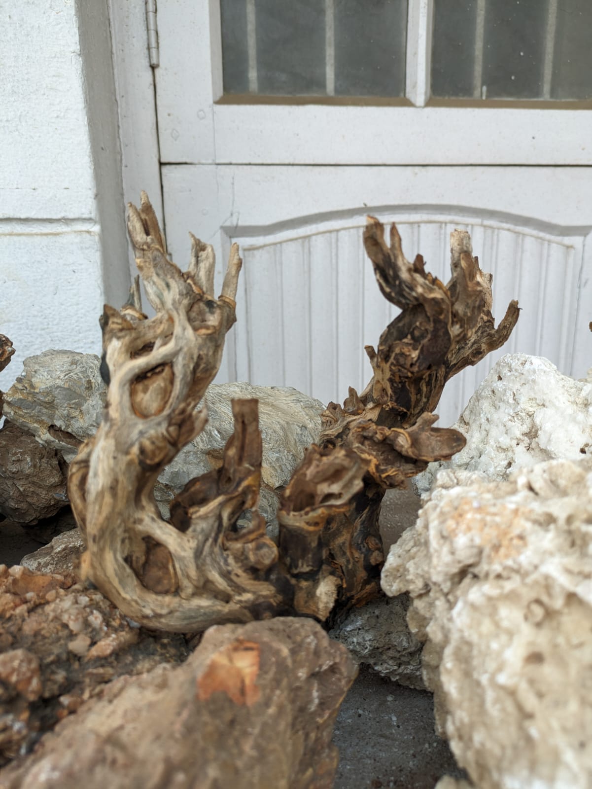 Instant Tree Wood