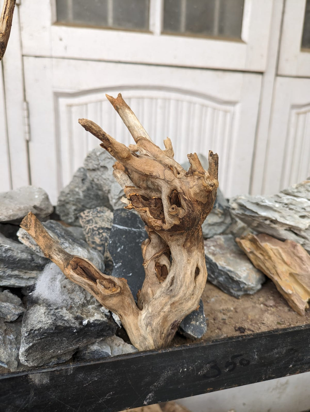 Instant Tree Wood