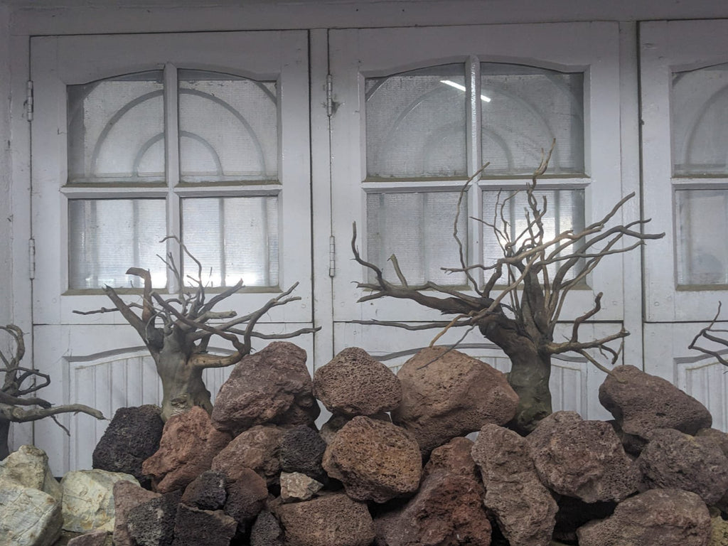 branchedwood-