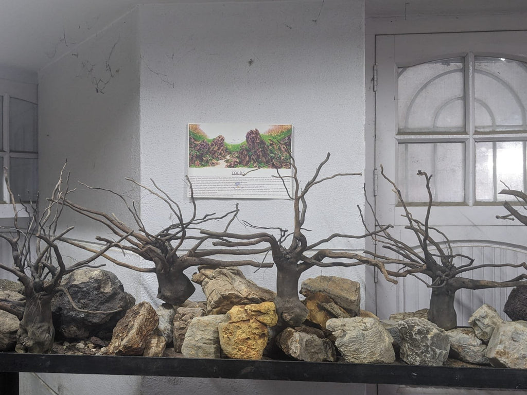 branchedwood-