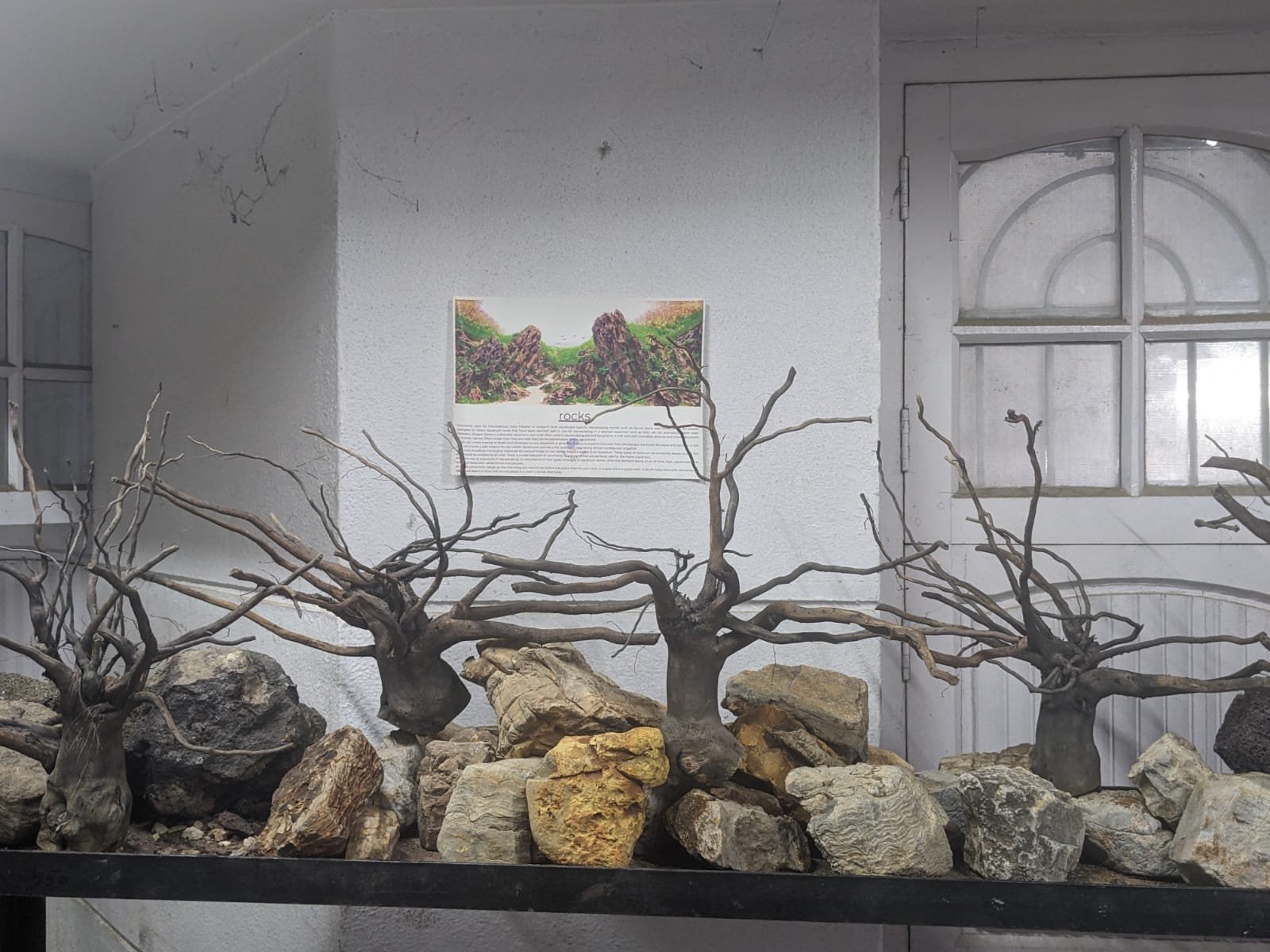branchedwood-