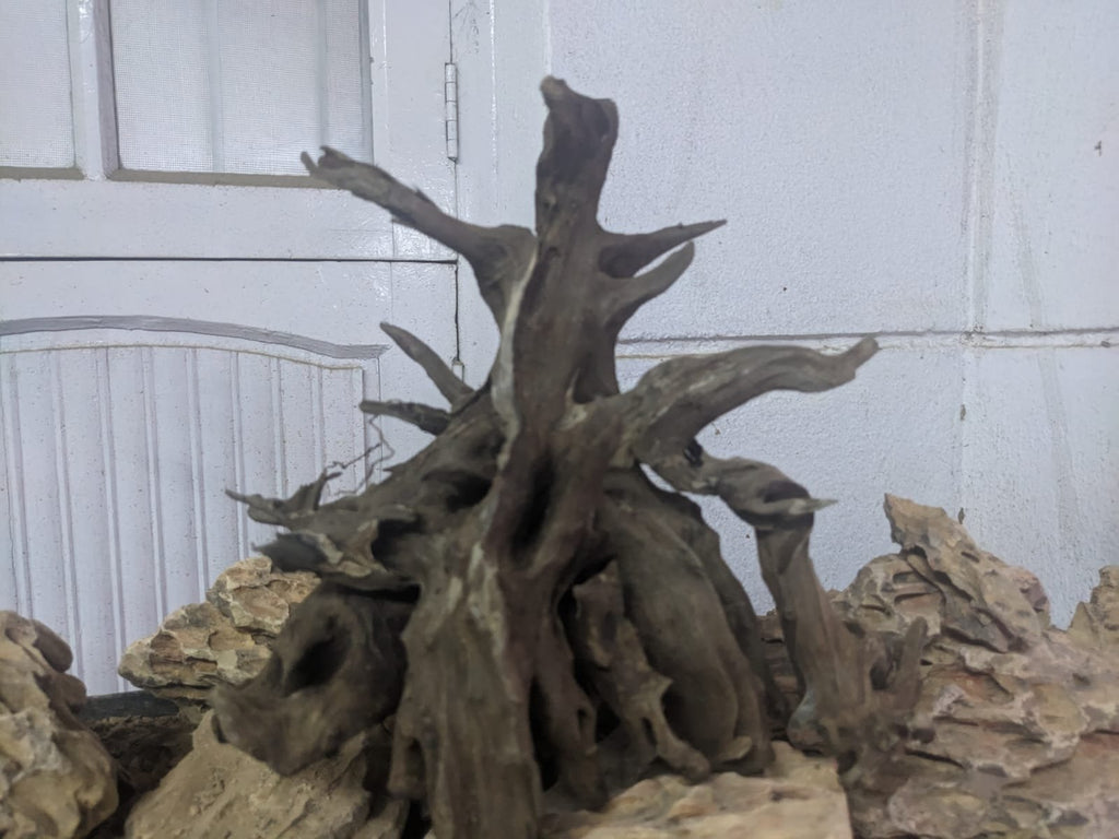 nanowood