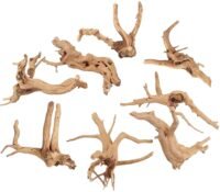 Spider wood