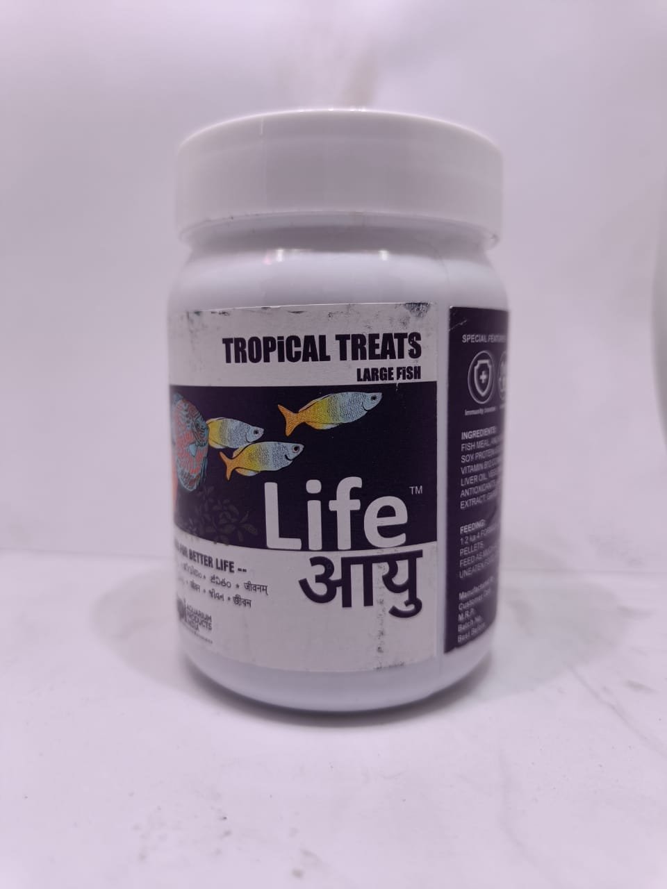 Tropical-treats-Large-Fish1