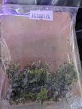 buce kedagang mini