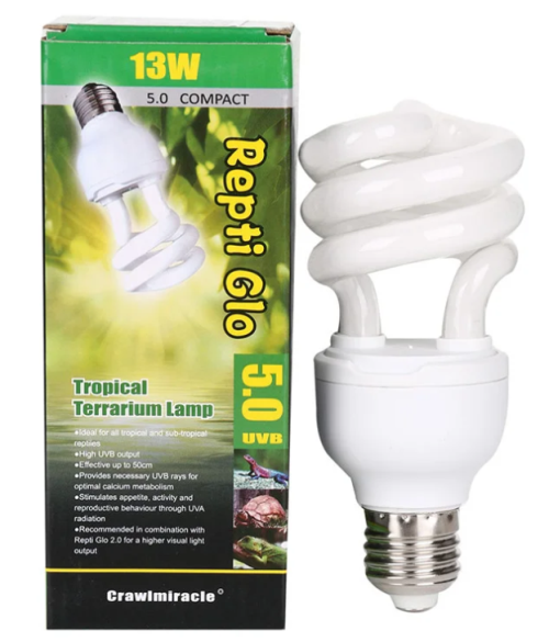 Turtlelight