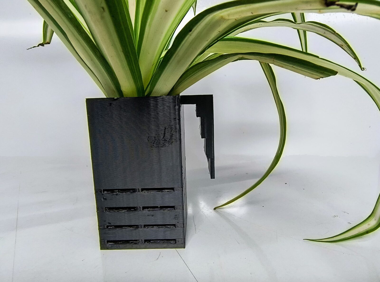 Aquarium Single planter - Black / Whit