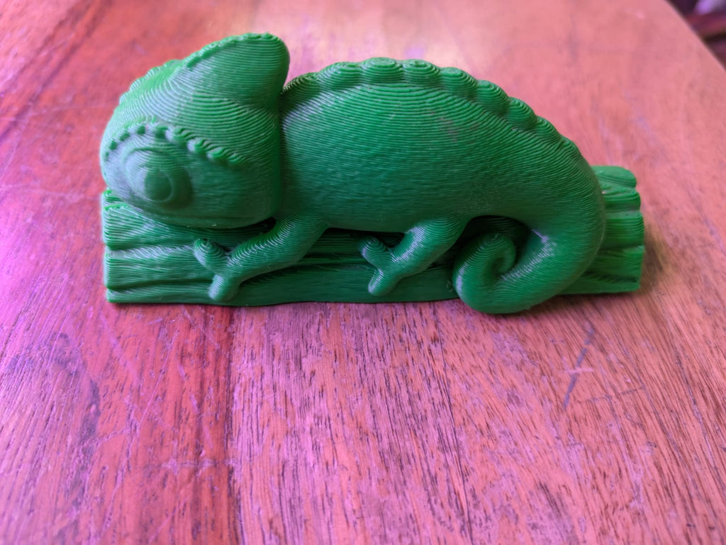 3D Pascal – Pet chameleon: