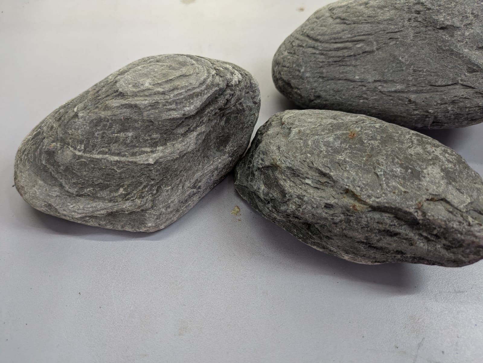 Rhinostones