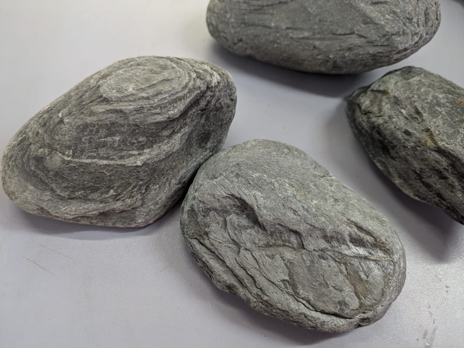 Rhinostones