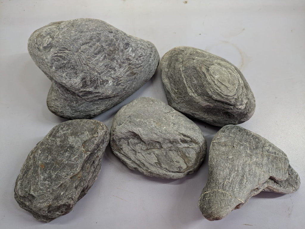 Rhinostones