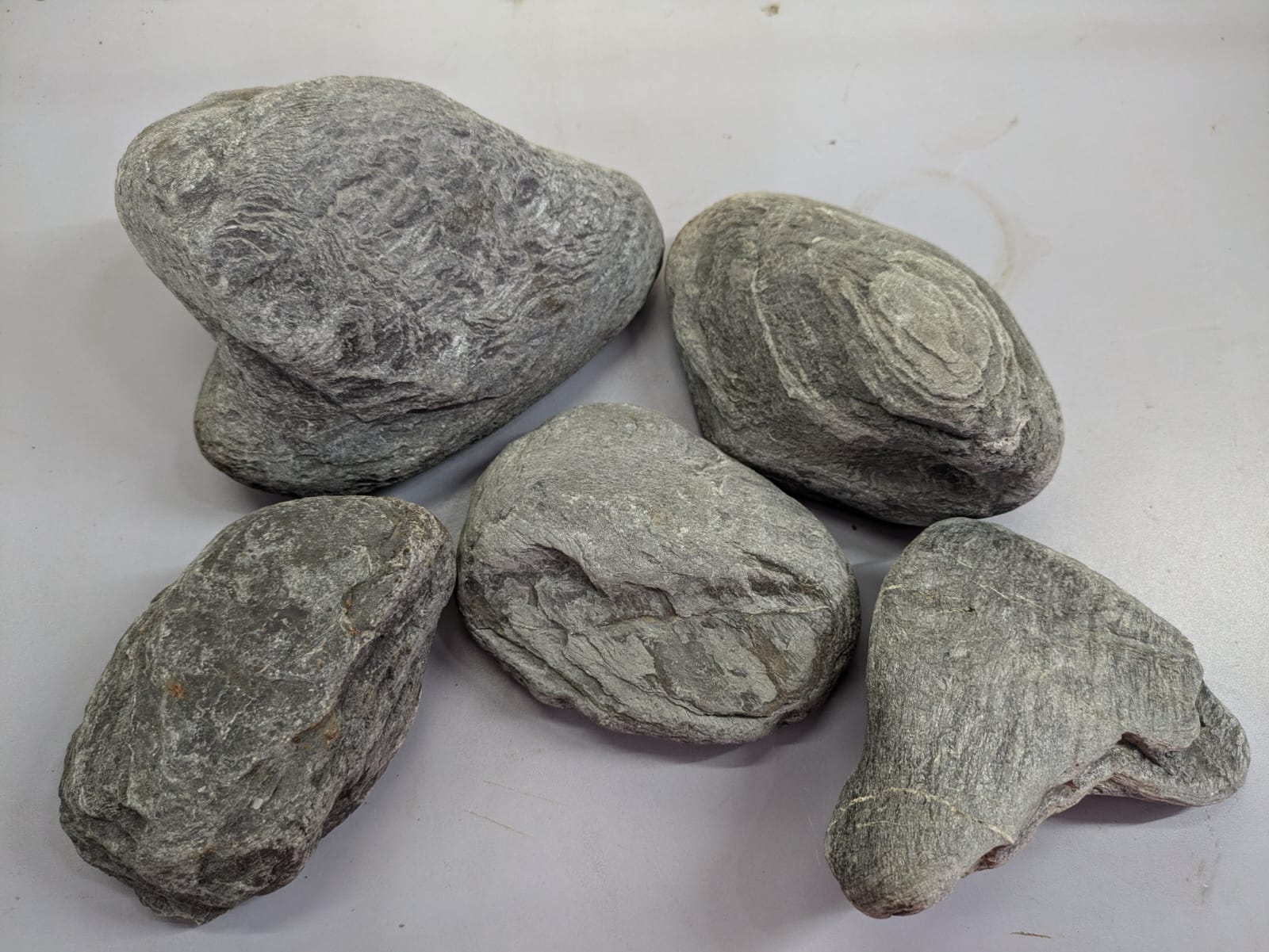 Rhinostones