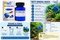 Aquatic Remedies WILD Misty Mineral Maker – 50g