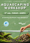 Aquascaping Workshop