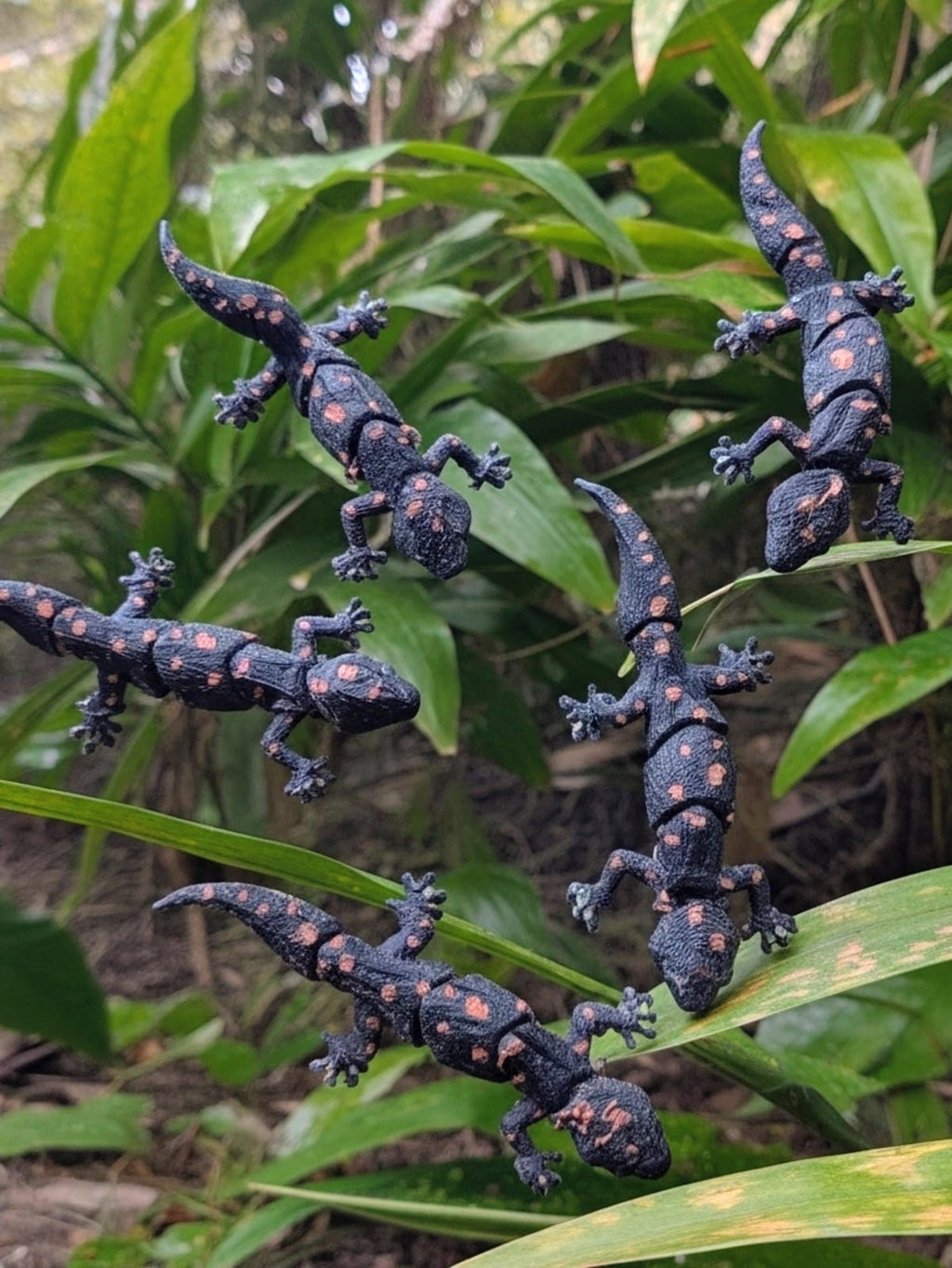 Lizard / Gecko - Single