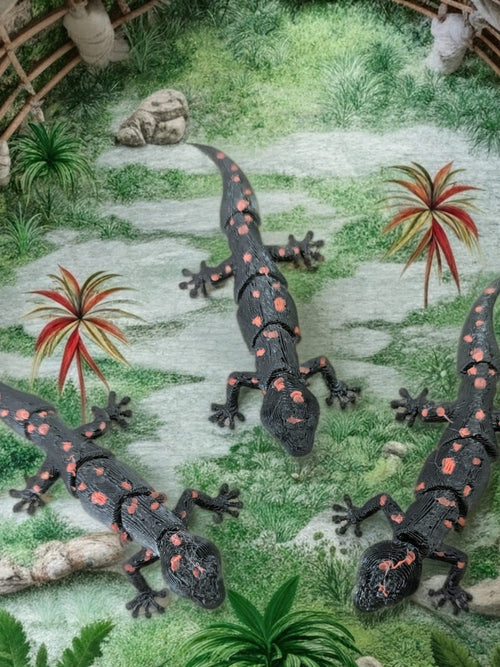 3D Lizard / Gecko - Single