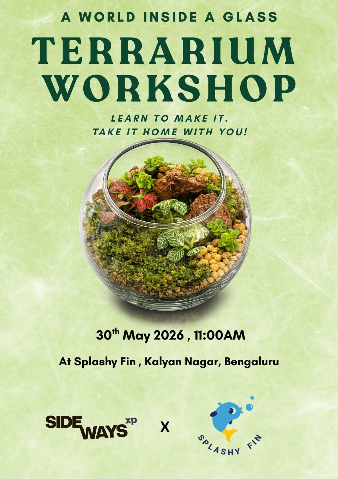 Terrarium Workshop