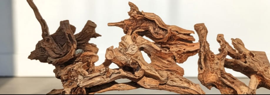 Honey Wood
