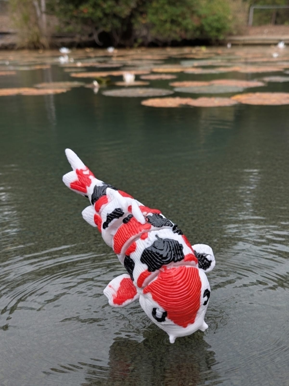 3D Koi Fish (Small) - Single