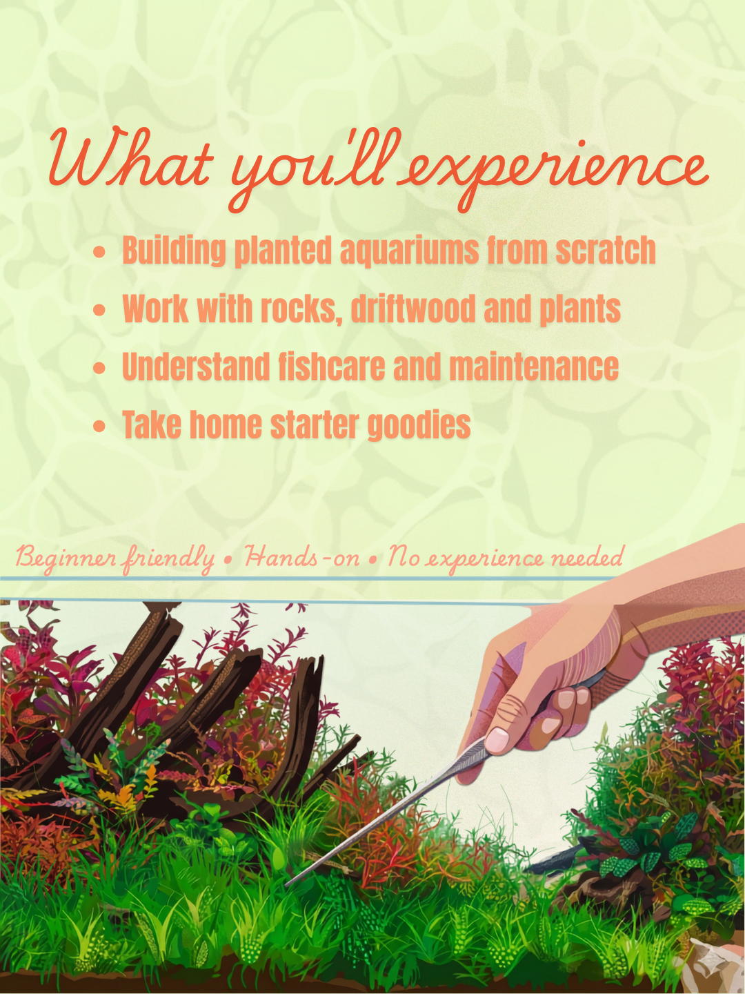 Aquascaping Workshop