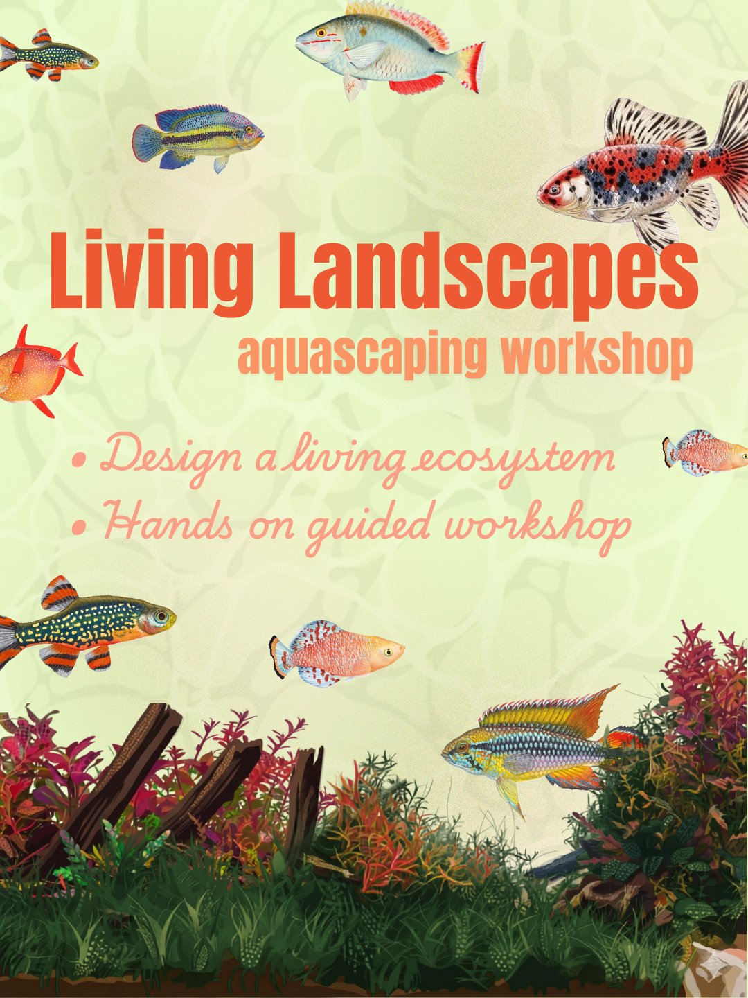 Aquascaping Workshop