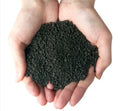 Black Shrimp Soil