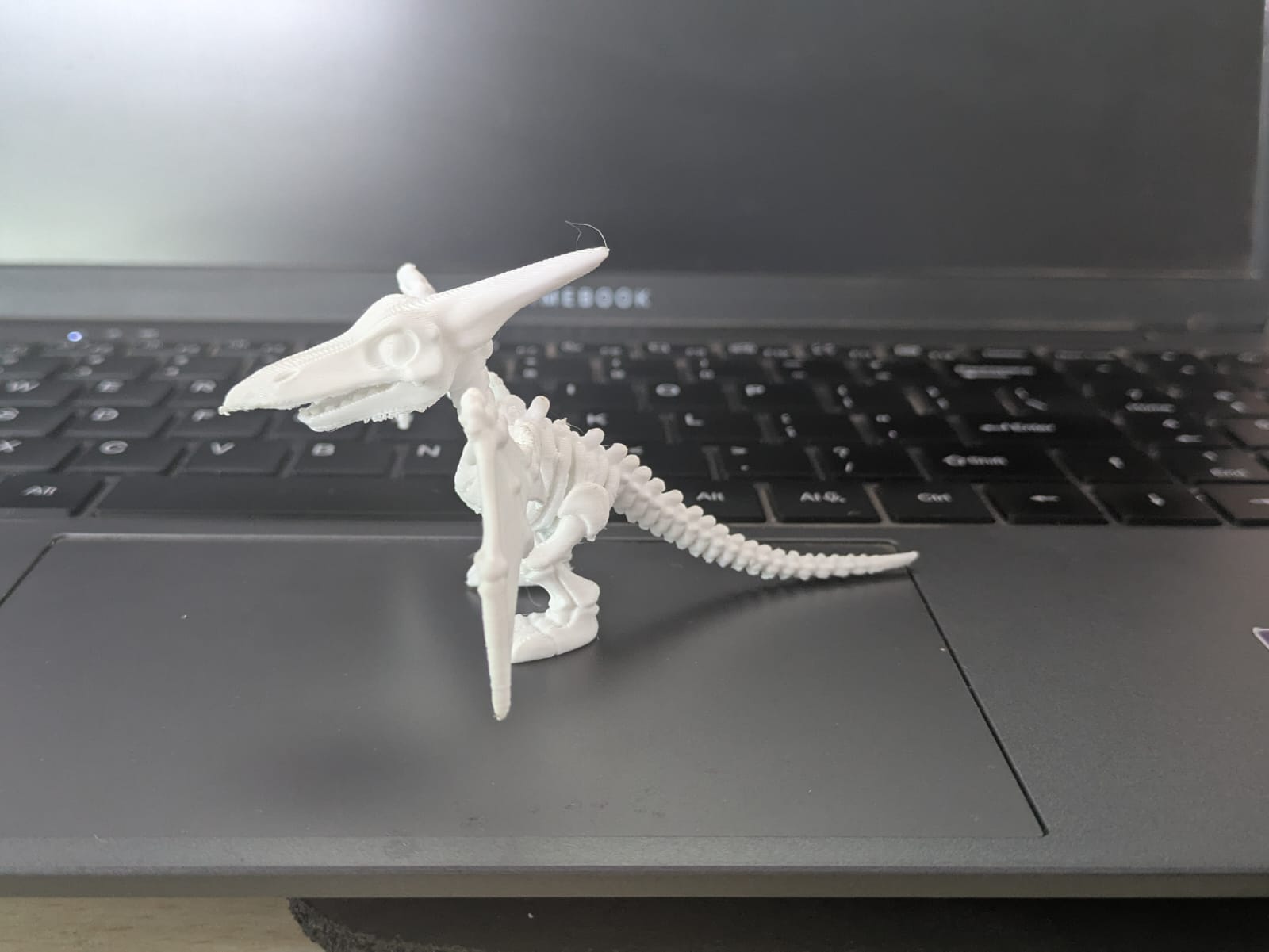 Pterodactyl Dino Small