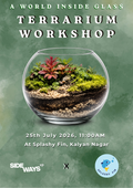 Terrarium Workshop