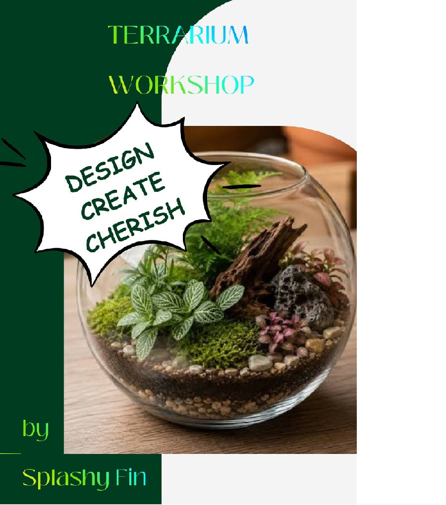 Terrarium Workshop