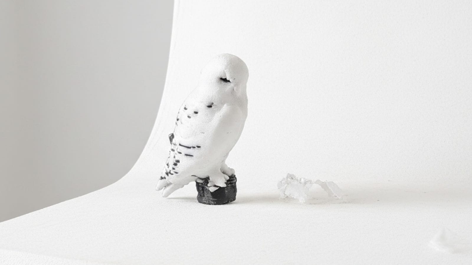 3D Arctic Owl (Small) - Single