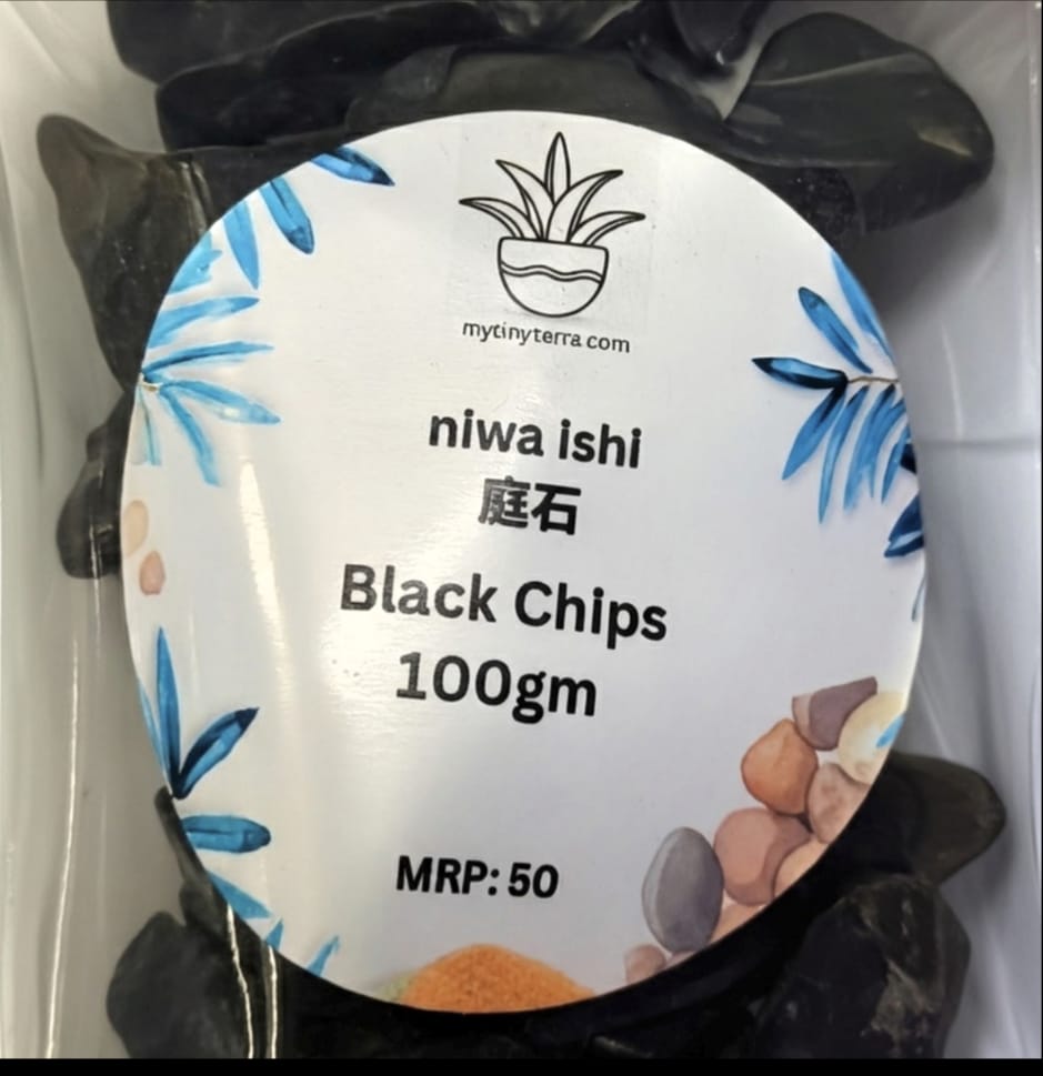 Niwa-ishi (庭石) series : Black Chips – 100 gm