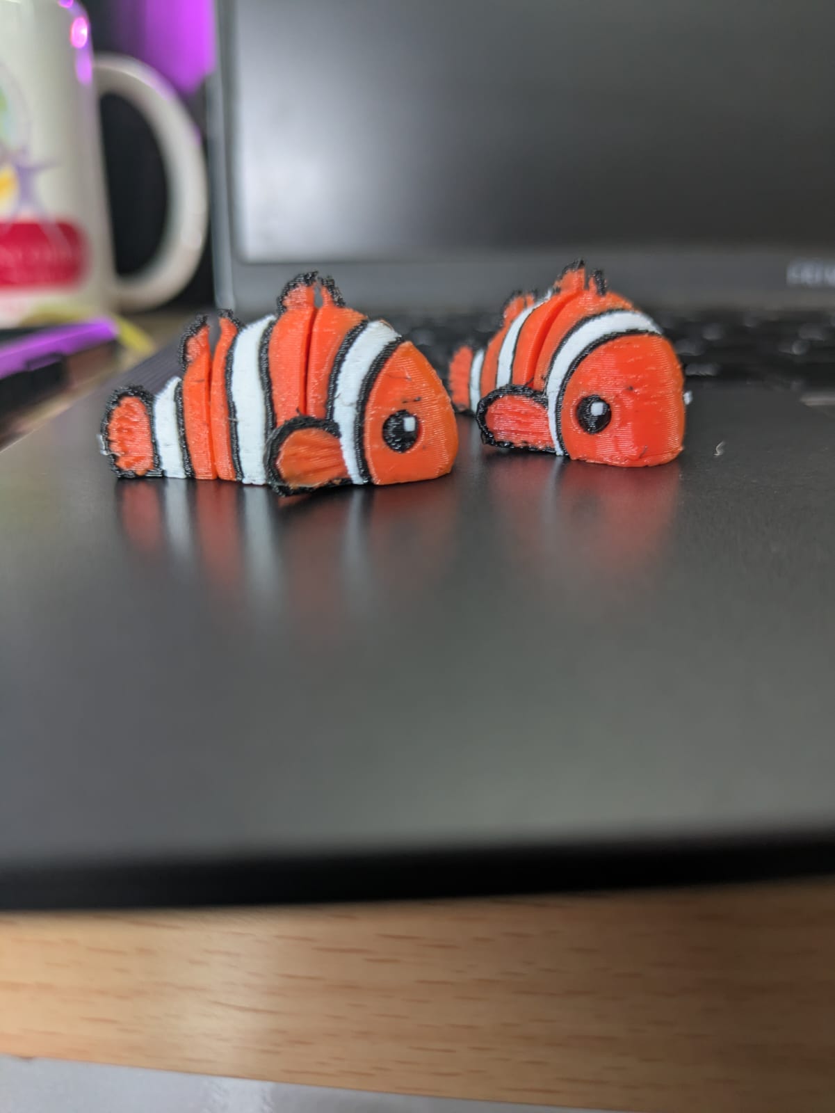 3D Clownfish - Single