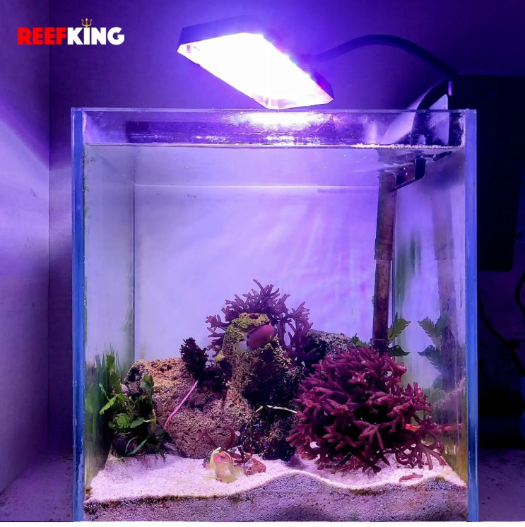 ReefKing Dragonet Macro Algae Light for Nano Marine Tanks
