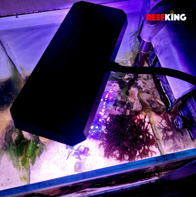 ReefKing Dragonet Macro Algae Light for Nano Marine Tanks