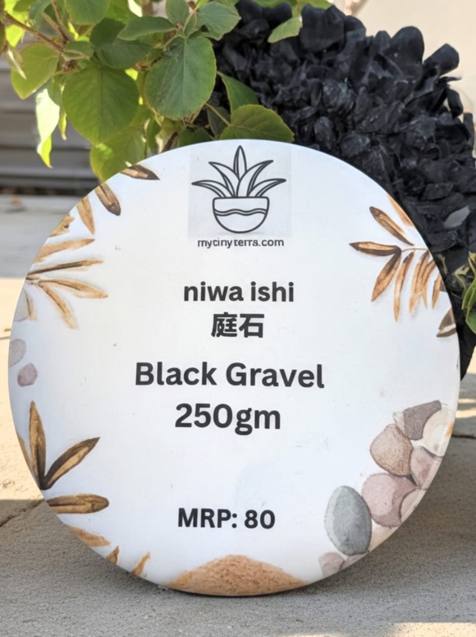 Niwa-ishi (庭石) series : Black Gravel - 250 gm
