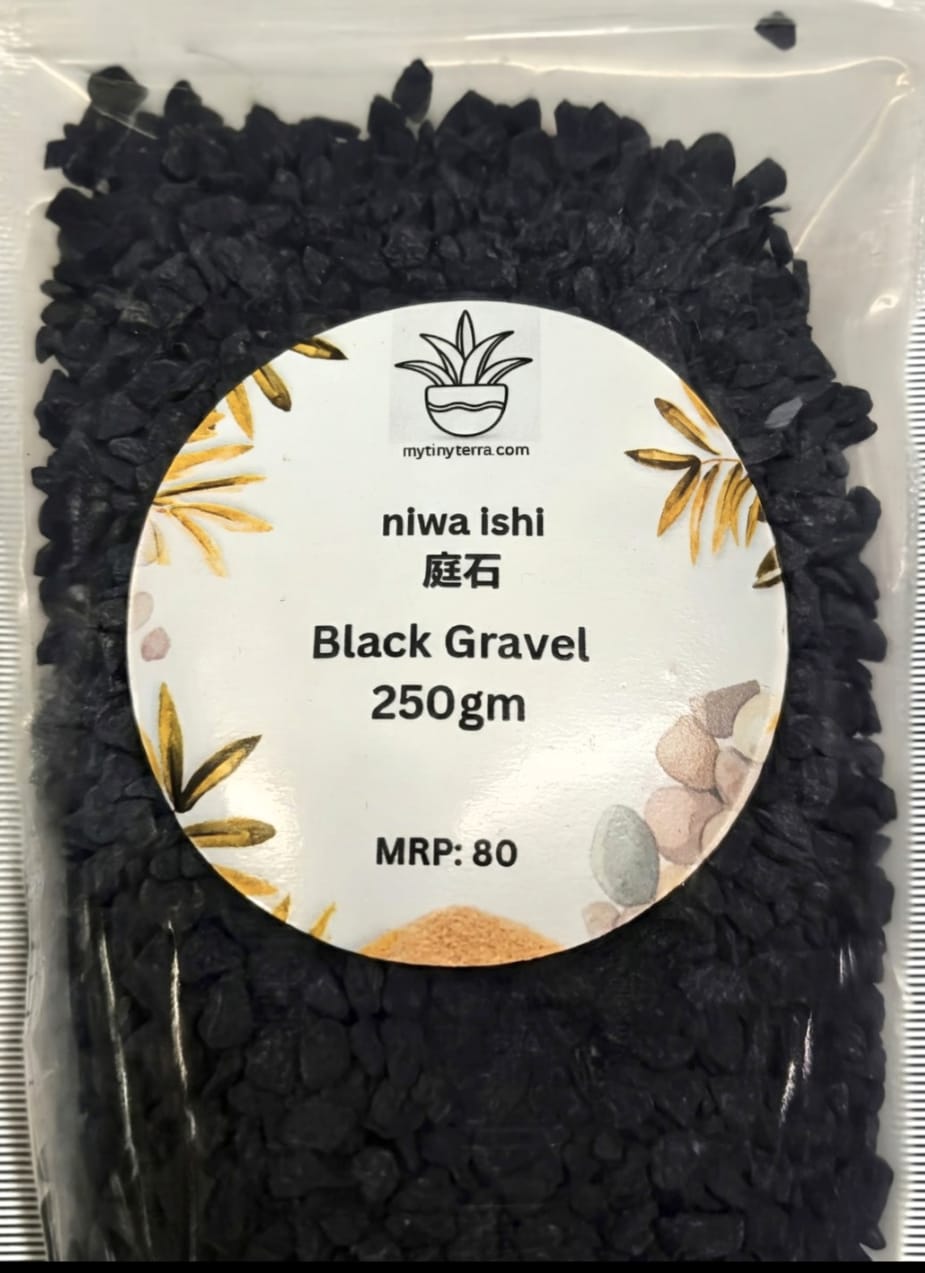 Niwa-ishi (庭石) series : Black Gravel - 250 gm