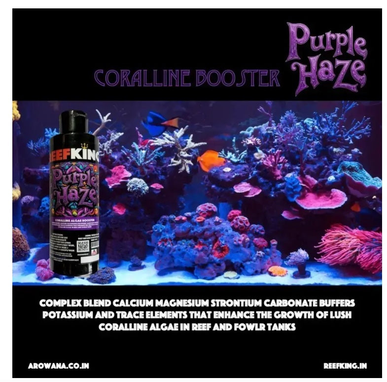 Reefking Purple Haze Coralline Booster 200ml coralline algae grower