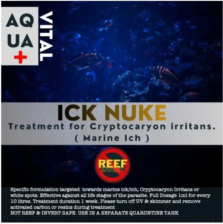Reefking Ich Nuke dedicated formulation for marine ick Cryptocaryon Irritans 100ml