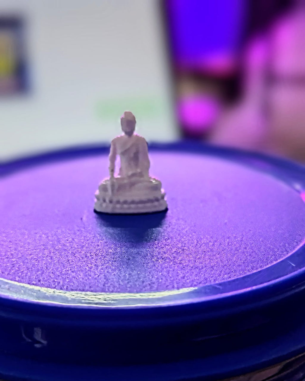 3D Buddha – Micro