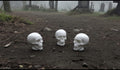3D Micro Human Skull - Single
