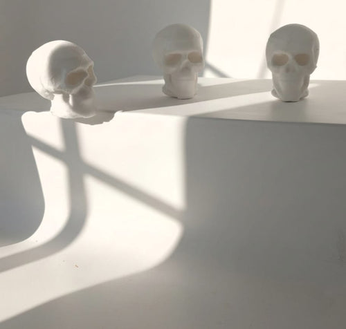 3D Micro Human Skull - Single