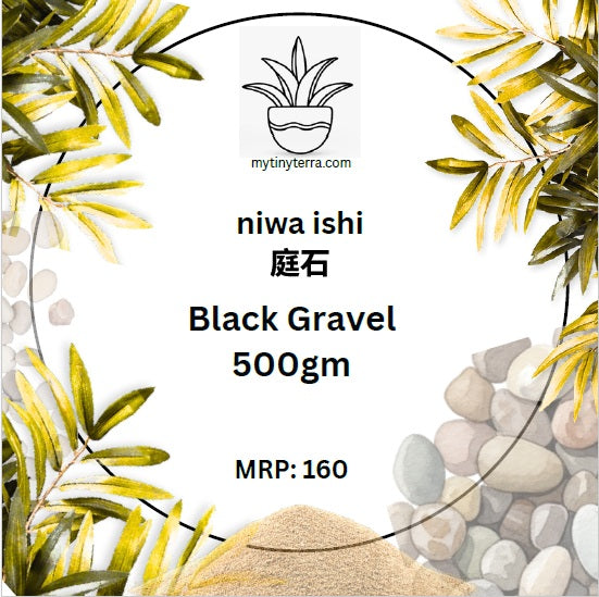 Niwa-ishi (庭石) series : Black Gravel - 500 gm