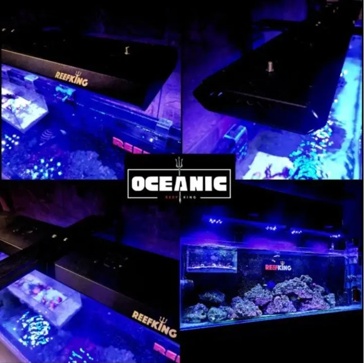 Oceanic Marine Light for FOWLR and Basic Reefs ( Iot APP Controlled)