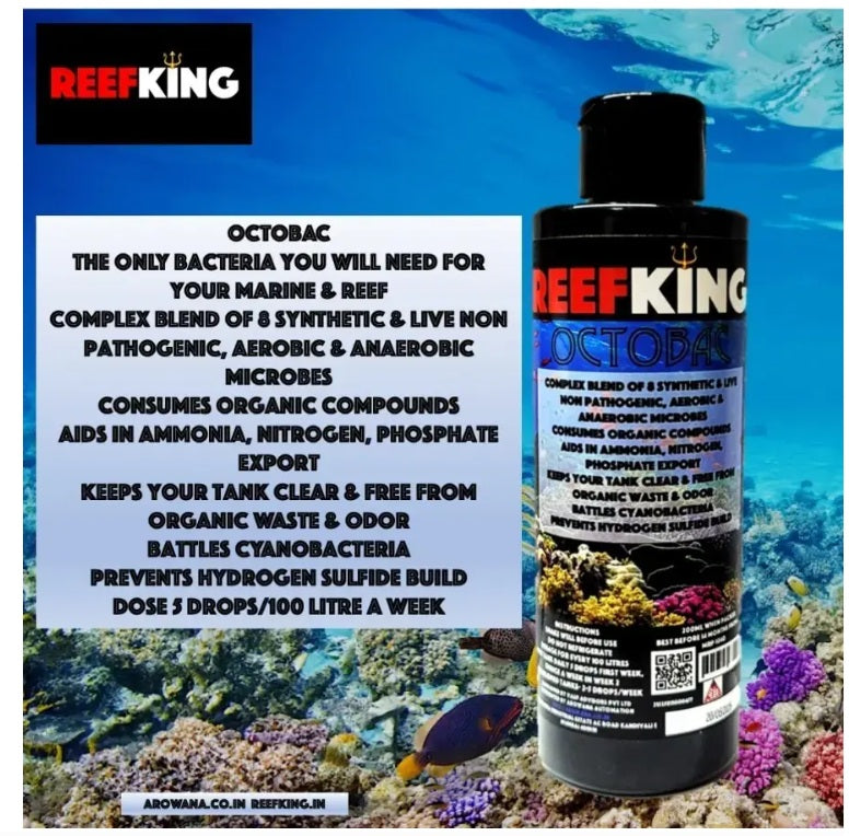 Reefking Octobac Bacteria 200ml All in one bacteria blend of aerobic & anerobic for marine & reef aquarium