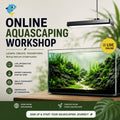 Online Aquascaping Workshop