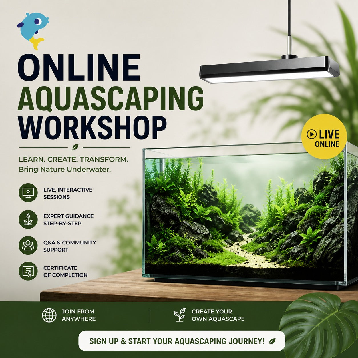 Online Aquascaping Workshop