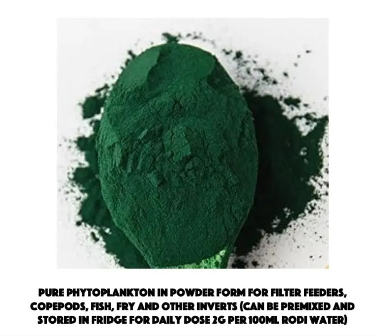 Reefking Phytoplankton Powder for inducing copepods feeding filter feeders corals anemones and young fish