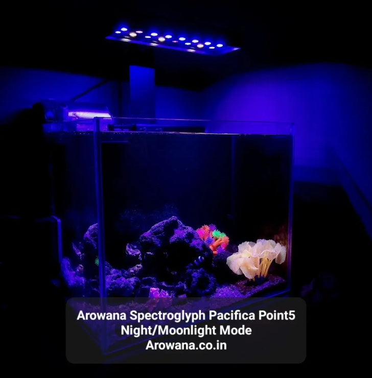 Pacifica Point5 Marine Reef Light