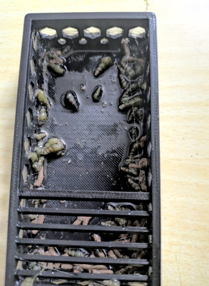 3D Snail Trap