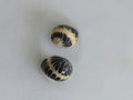 Stripped Batik Nerite Snail